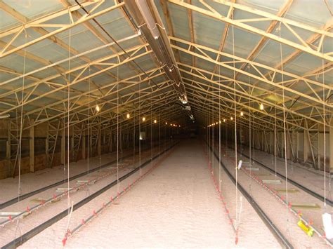 used metal trusses chicken houses